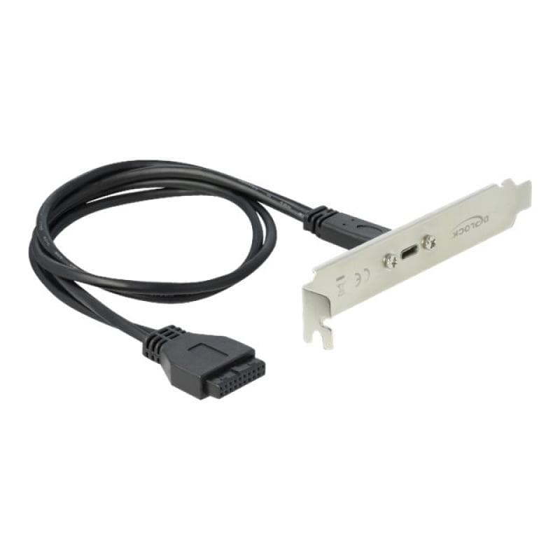 DELOCK Slotblech mit 1 x USB Type-C Port