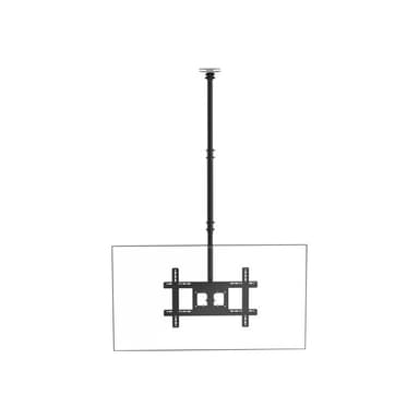 VISION VFM-C6X4/V2 - TV - 50 kg - 50,8 cm (20 Zoll) - 190,5 cm (75 Zoll) - 100 x 100 mm - 600 x 400
