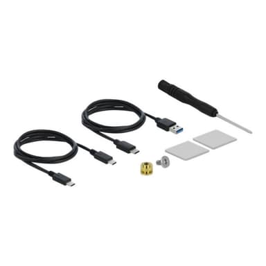 DELOCK Ext.Ge. M.2 PCIe SSD m. USB-C Bu