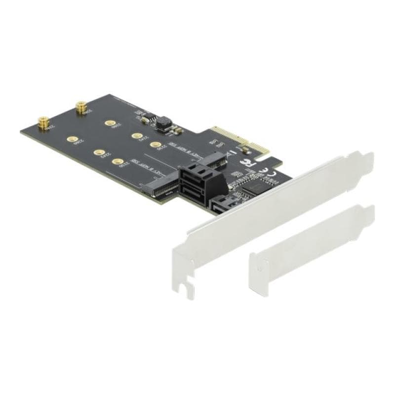 DELOCK 3 Port SATA und 2 Slot M.2 Key B PCI Express x4 Karte - Low Profile Formfaktor