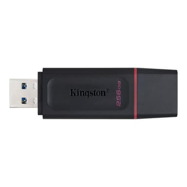 KINGSTON EXODIA 256GB