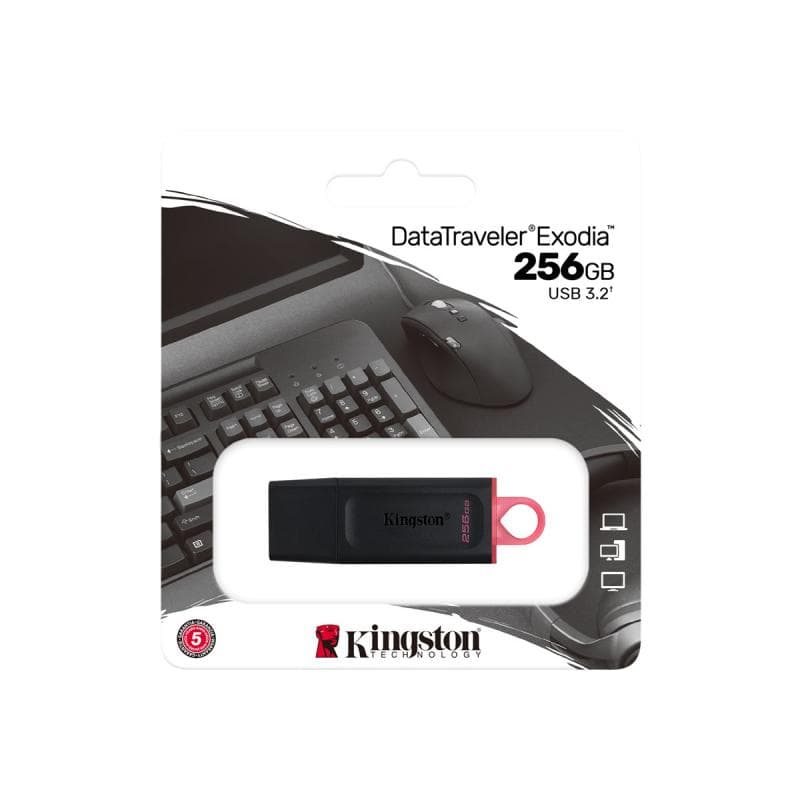 KINGSTON EXODIA 256GB