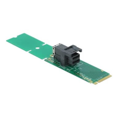 DELOCK Adapter M.2 Key M zu SFF-8643 NVMe 22110 / 2280 / 2260