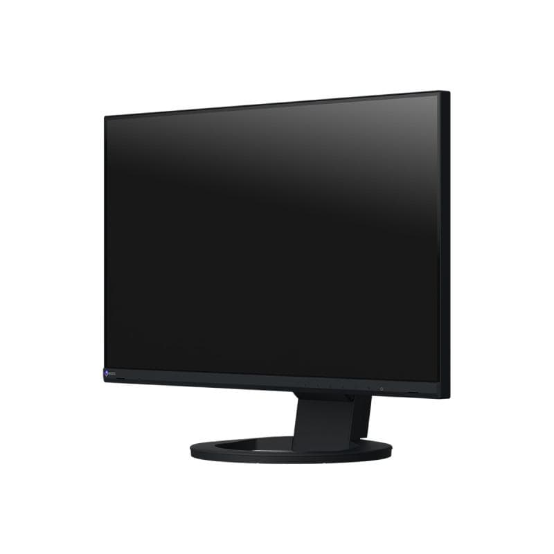 EIZO EV2480-BK 60,5cm (23,8″)