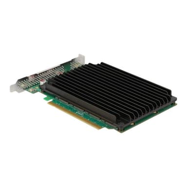 DELOCK PCI Expr x16 Karte > 4x int NVMe M.2 Key M Kühlkörper