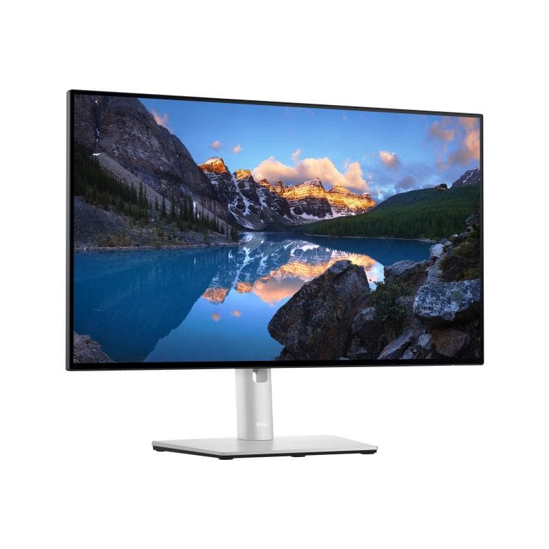 DELL U2422H 60,5cm (23,8″)