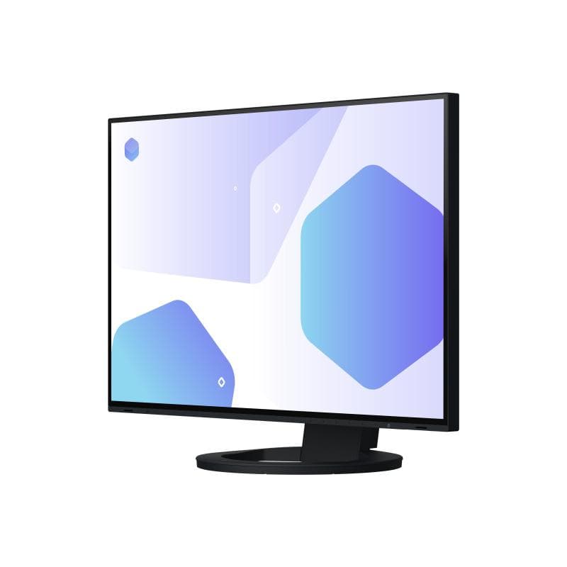 EIZO EV2485-BK 61,1cm (24,1″)