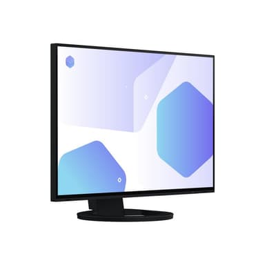 EIZO EV2485-BK 61,1cm (24,1″)