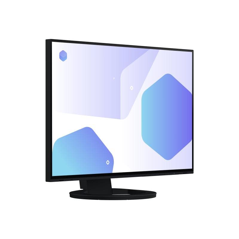 EIZO EV2485-BK 61,1cm (24,1″)