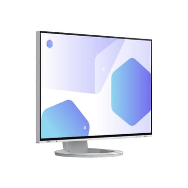 EIZO EV2485-WT 61,1cm (24,1″)