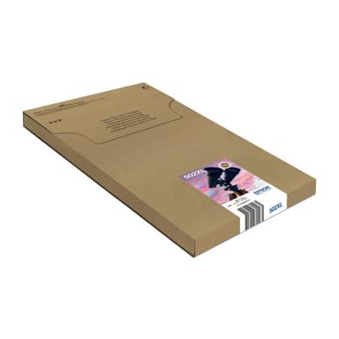 EPSON Multipack 4-colours 502XL EasyMail