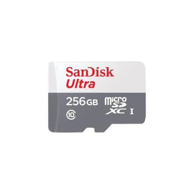 SANDISK Ultra Class 10 256GB