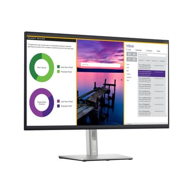 DELL P3223QE 80cm (31,5″)