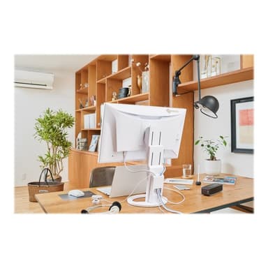 EIZO EV2490-WT 60,5cm (23,8″)
