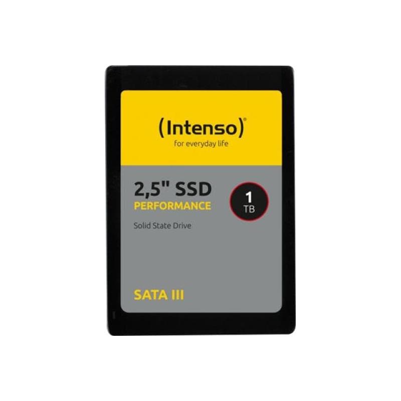 INTENSO Performance 250GB