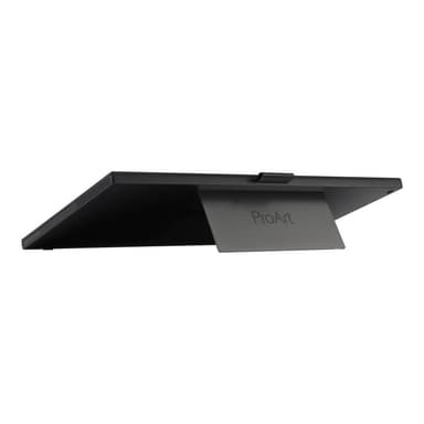 ASUS ProArt PA169CDV 39,6cm (15,6″)