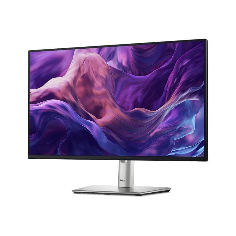 DELL 24 P2425HE 60,45cm (23,8″)