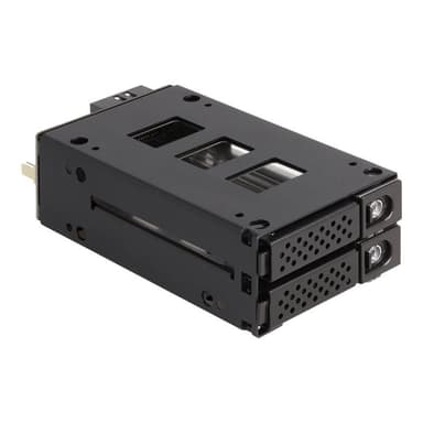DELOCK Slim Bay Wechselrahmen 2 x2.5 U.2 NVMe SSD 5.25″