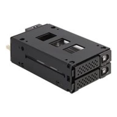 DELOCK Slim Bay Wechselrahmen 2 x2.5 U.2 NVMe SSD 5.25″