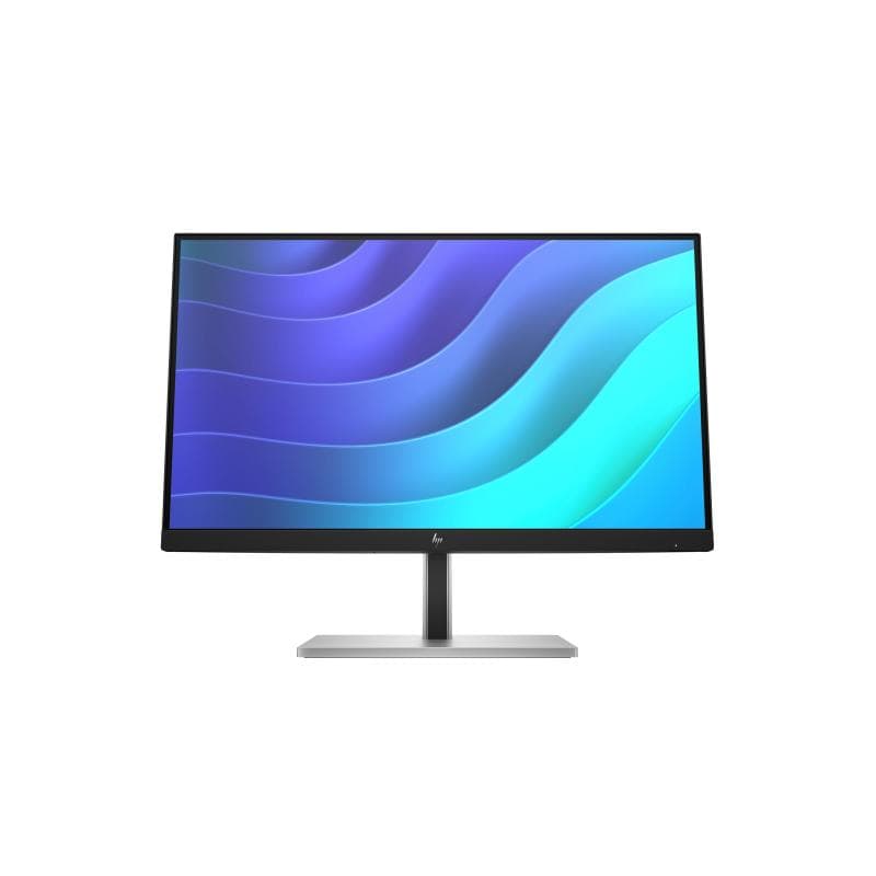 HP E22 G5 55cm (22″)