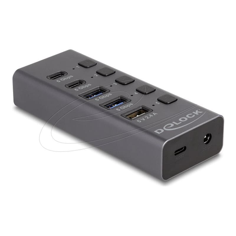DELOCK USB 5 Gbps Hub mit 2 x Typ-A und 2 Type-C Buchse 1 Schnellladeport+ (64248)