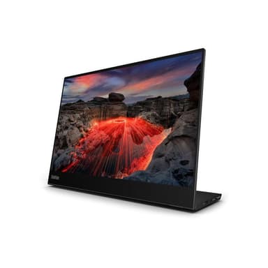 LENOVO ThinkVision M14t G2 35,6cm (14″)