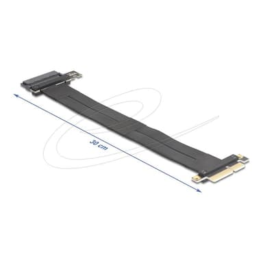 DELOCK 81507, PCIe, U.2, Männlich, Schwarz, 0,3 m, 1 Stück(e)
