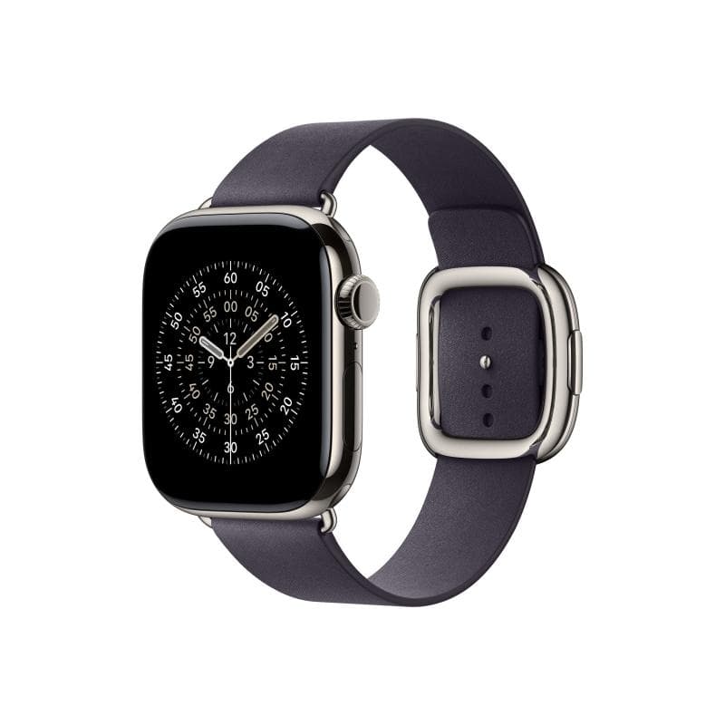 APPLE 42mm Midnight Purple Modern Buckle - Medium