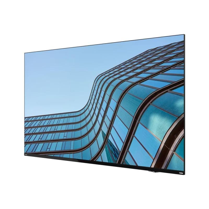 LENOVO ThinkVision E55 LFD 139,7cm (54,6″)