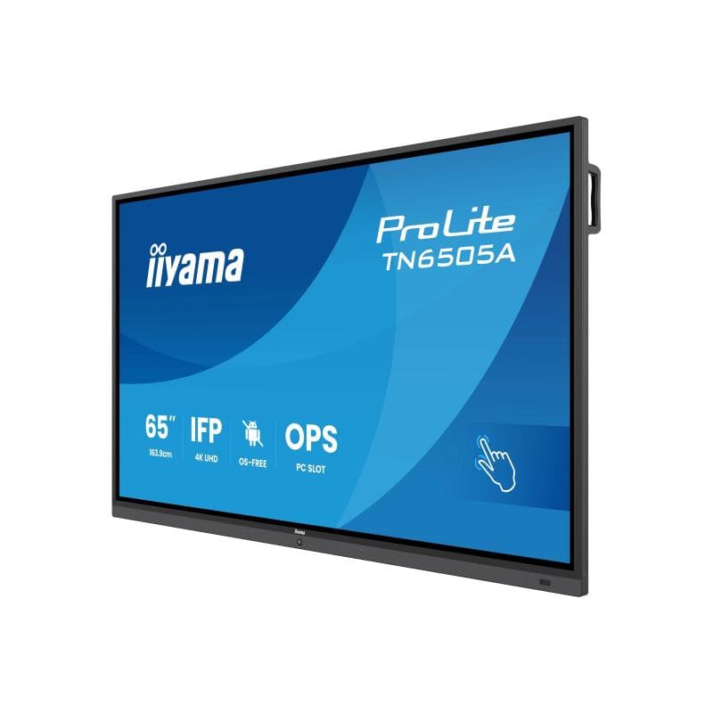 IIYAMA TN6505A-B1AG 165,1cm (65)