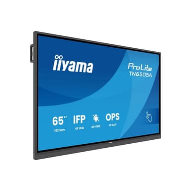 IIYAMA TN6505A-B1AG 165,1cm (65)