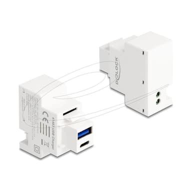 DELOCK Keystone Modul mit USB-C/A Ladebuchse PD 20W weiß