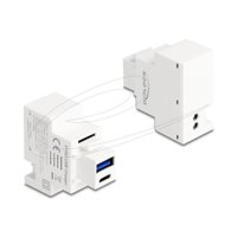 DELOCK Keystone Modul mit USB-C/A Ladebuchse PD 20W weiß