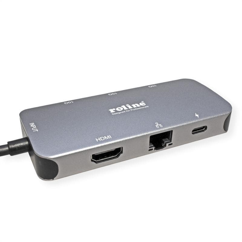 ROLINE USB 3.2 Gen 2 Typ C Multiport Dockingstation 4K HDMI LAN