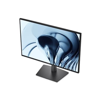 DELL Pro P 24 P2426 61,21cm (24,1″)