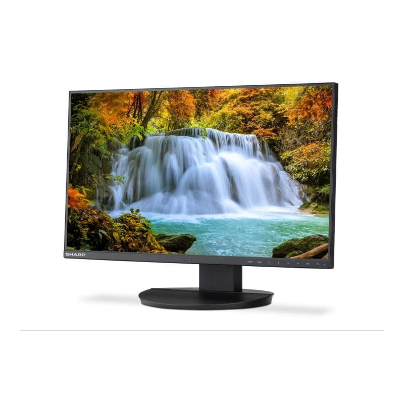 SHARP DD-EA242F Schwarz 60,5cm (23,8″)
