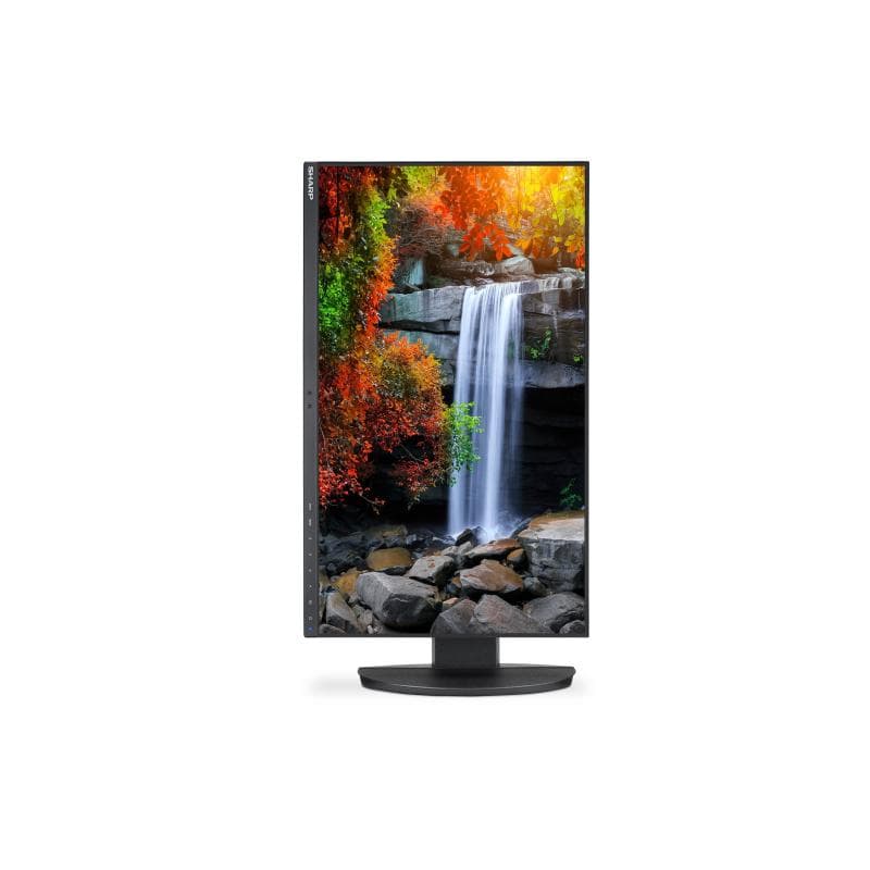 SHARP DD-EA242F Schwarz 60,5cm (23,8″)