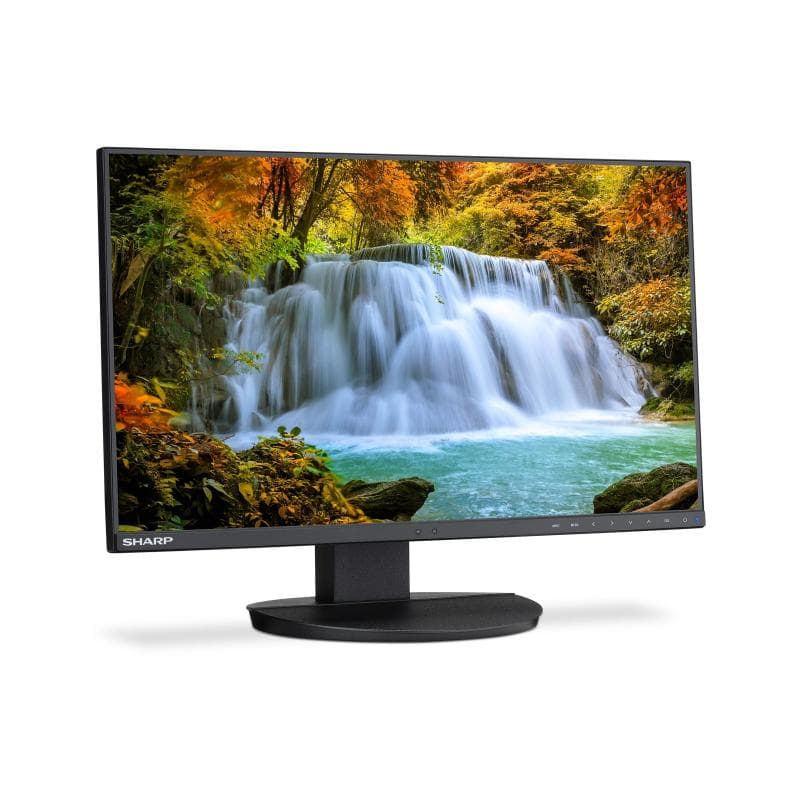 SHARP DD-EA242F Schwarz 60,5cm (23,8″)