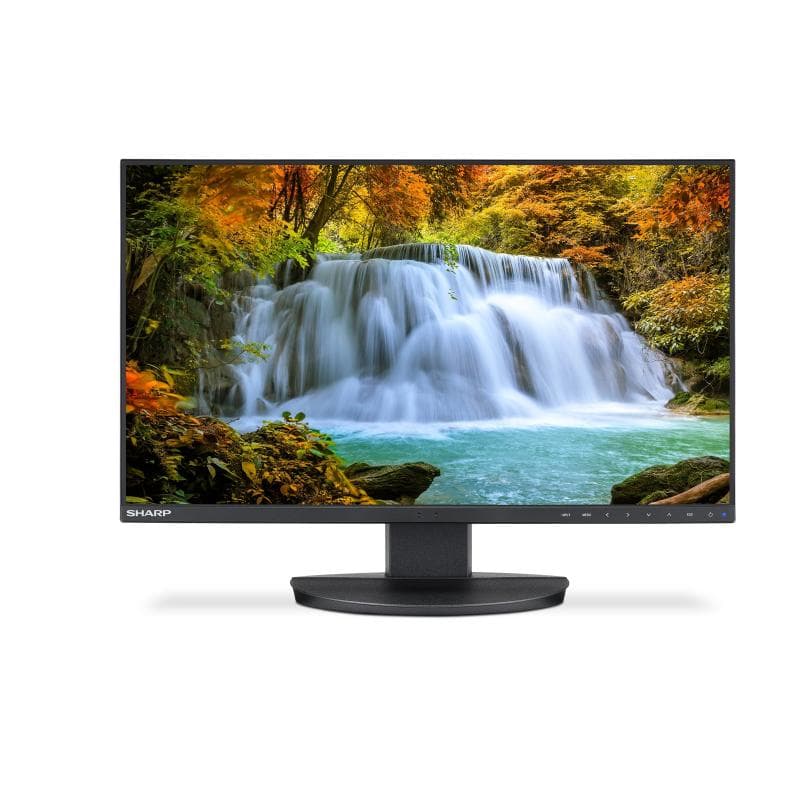SHARP DD-EA242F Schwarz 60,5cm (23,8″)