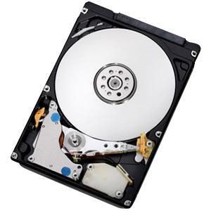  4TB IBM NL G2 HS  