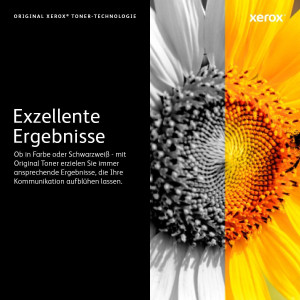 XEROX 2er Pack Schwarz Tonerpatrone 