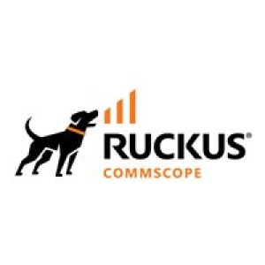 Ruckuswireless Access Point management license for SZ-100/vSZ 3.X, 1 Ruckus AP access point 
