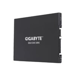  GIGABYTE UD Pro 256GB  