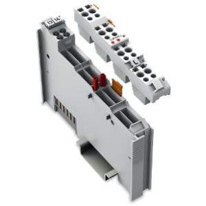 WAGO SPS-Platzhaltermodul 753-629/020-000 1 St. 