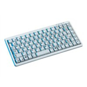  CHERRY G84-4100LCMUS-0 Tastatur grau USB PS/2 Tastaturen 