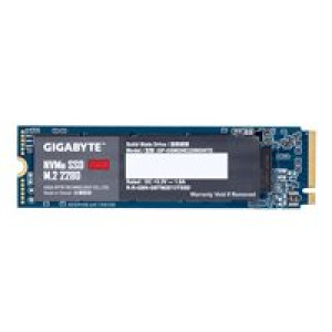  GIGABYTE GP-GSM2NE3256GNTD 256GB  