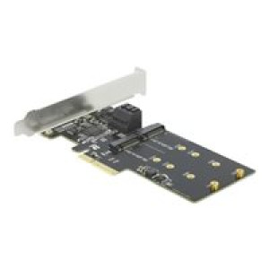 DELOCK 3 Port SATA und 2 Slot M.2 Key B PCI Express x4 Karte - Low Profile Formfaktor 