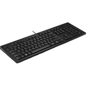  HP 125 USB Keyboard  - [US INT] Tastaturen 