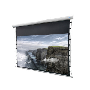 CELEXON DELUXX Cinema Motorleinwand Tension 265 x 149cm, 120