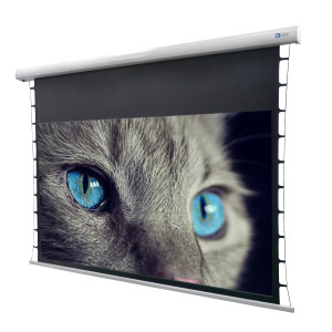 CELEXON DELUXX Cinema Hochkontrastleinwand Tension 177 x 99cm, 80